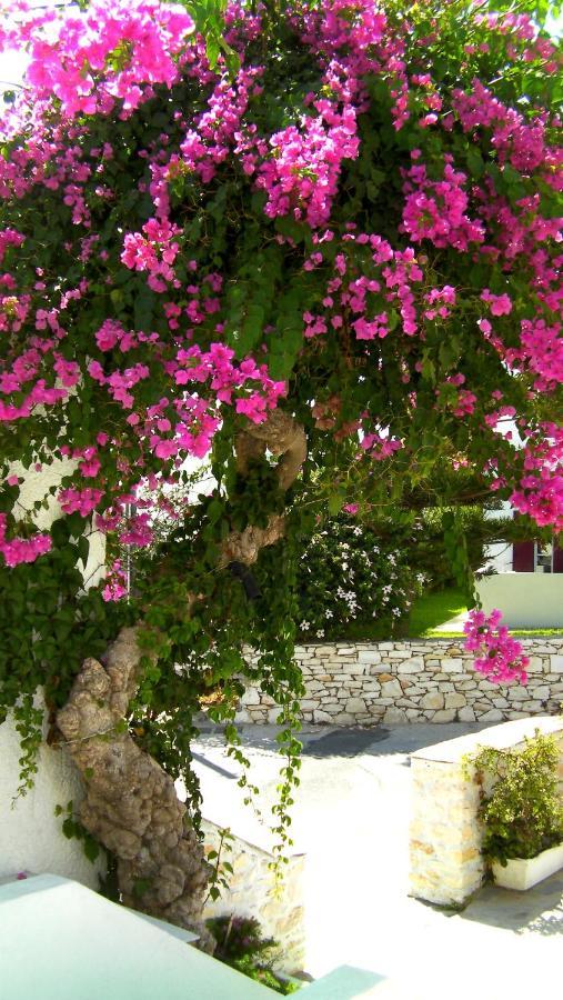 Astoria Paros Lejlighed Náousa Eksteriør billede